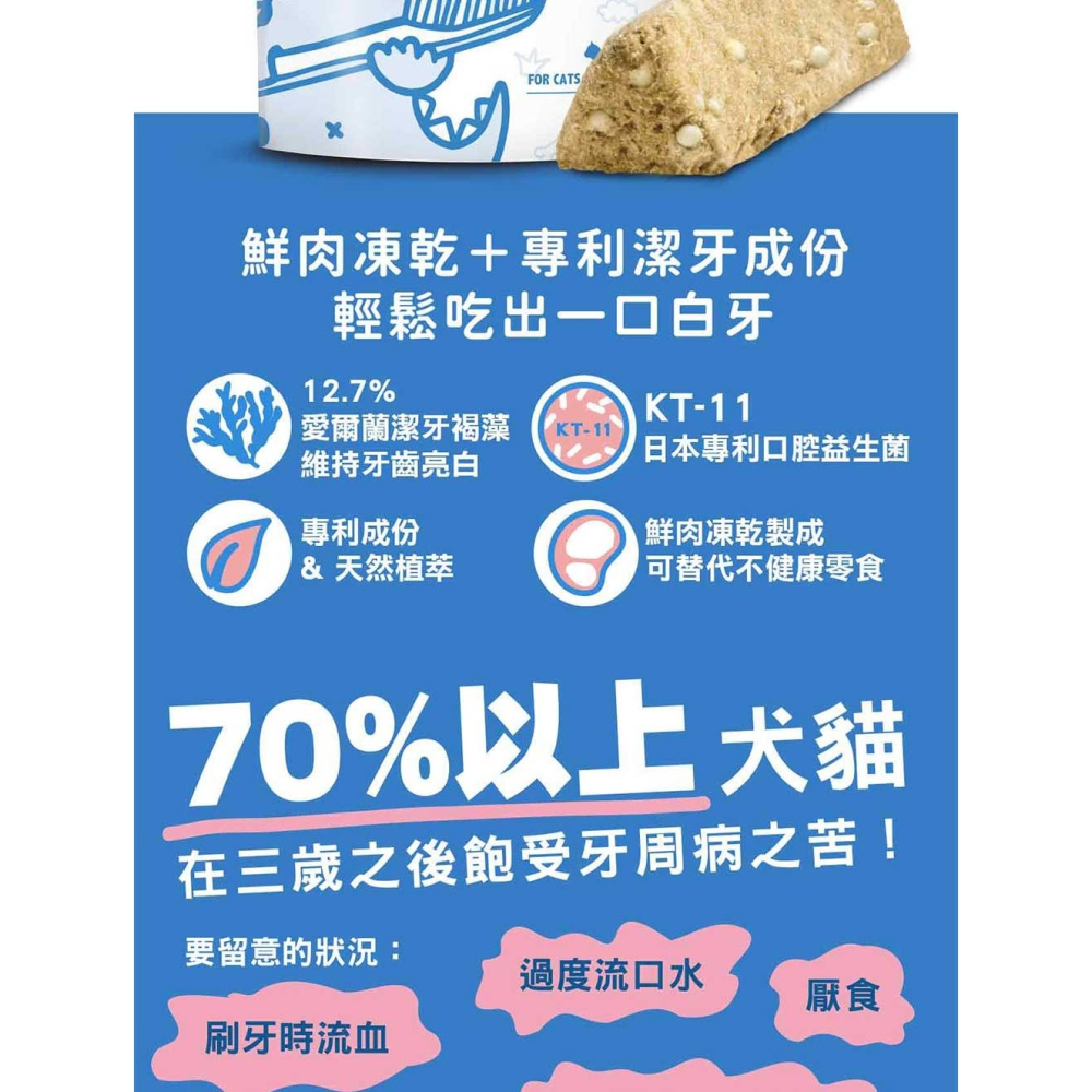 IN+Plus 口腔保健-貓用好好益菌潔牙凍乾 口腔 凍乾-細節圖6