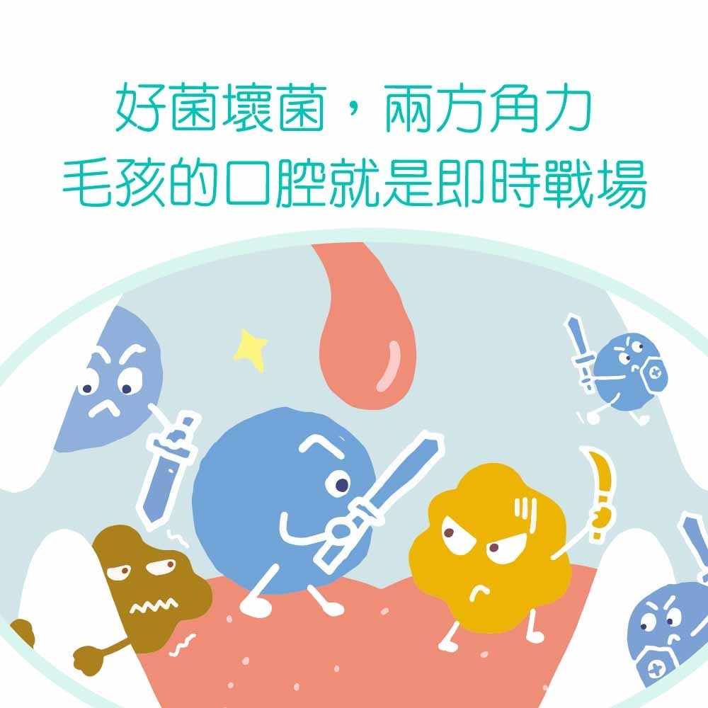 IN+Plus 口腔保健-犬用控制牙垢新對策 口腔 凍乾-細節圖7