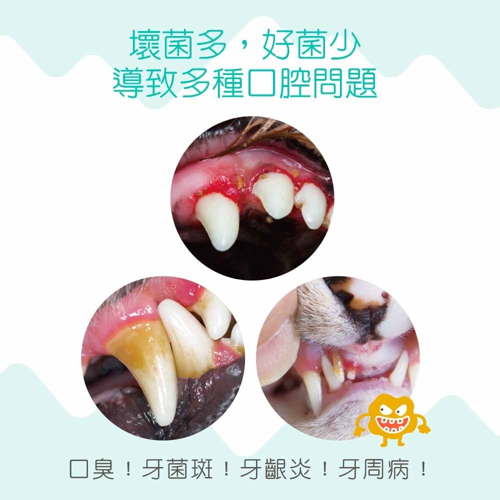 IN+Plus 口腔保健-犬用控制牙垢新對策 口腔 凍乾-細節圖8