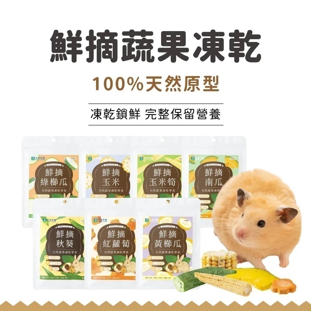 即期優良品 角落水族 鮮摘蔬果凍乾系列 小寵零食-細節圖2