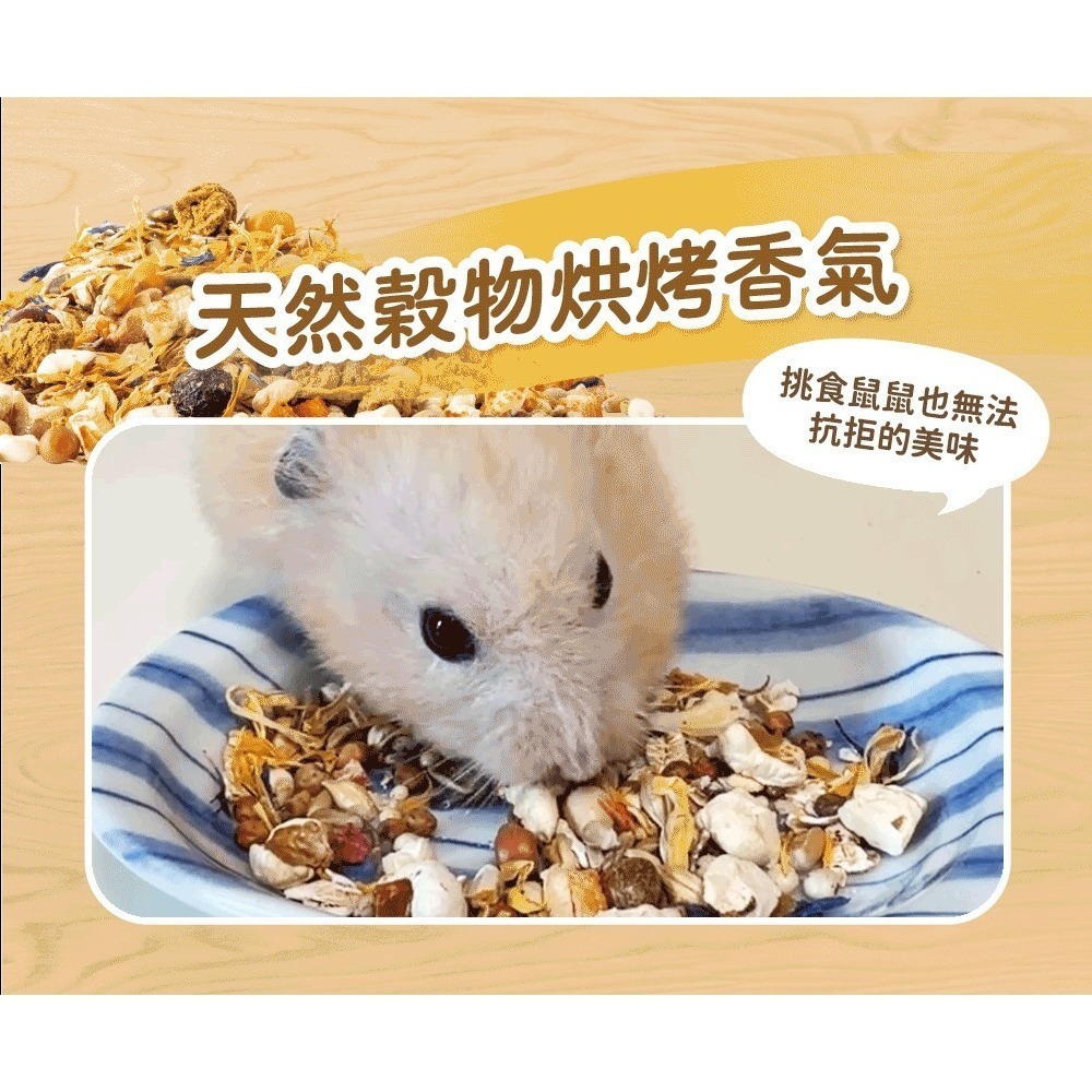 角落水族 倉鼠主食 天然糧倉-細節圖7
