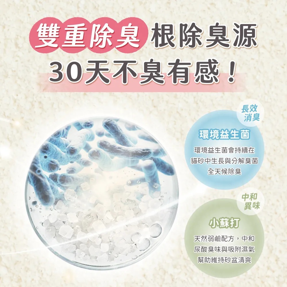 超凝小姐 0黏底瞬效凝結木薯砂【淡雅奶香】 2.4kg-細節圖5