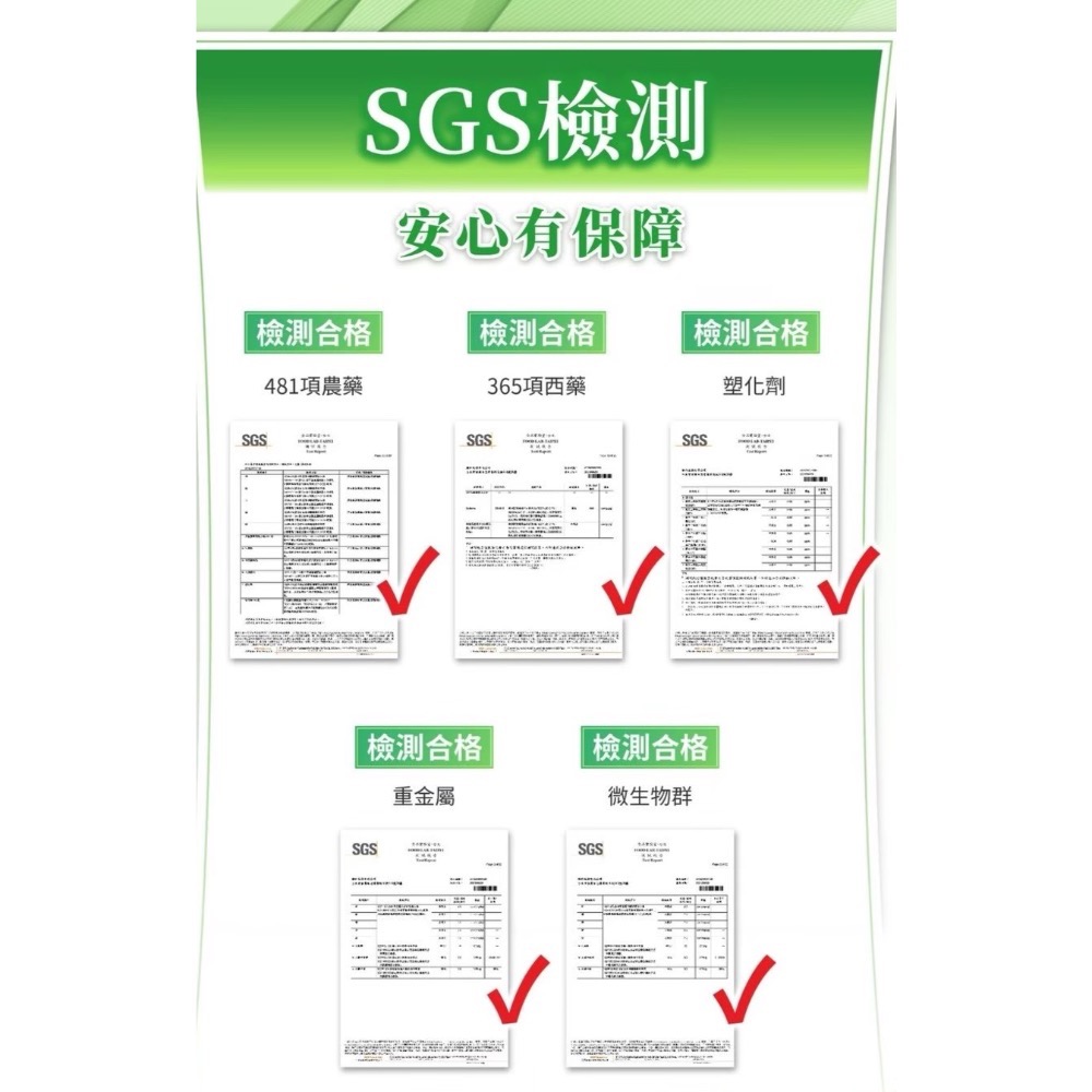 婕樂纖纖飄錠-細節圖6