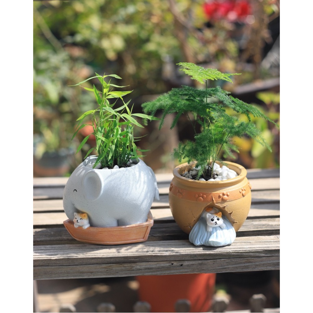 【微景小舖】創意造型多肉花盆 小象花盆 喵星人多肉花盆 多肉植物盆栽 多肉盆栽 花器 花盆架 水泥花盆 造型花盆 微景觀-細節圖3