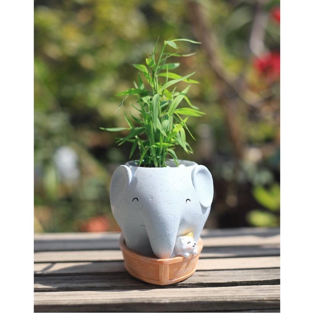 【微景小舖】創意造型多肉花盆 小象花盆 喵星人多肉花盆 多肉植物盆栽 多肉盆栽 花器 花盆架 水泥花盆 造型花盆 微景觀-細節圖4