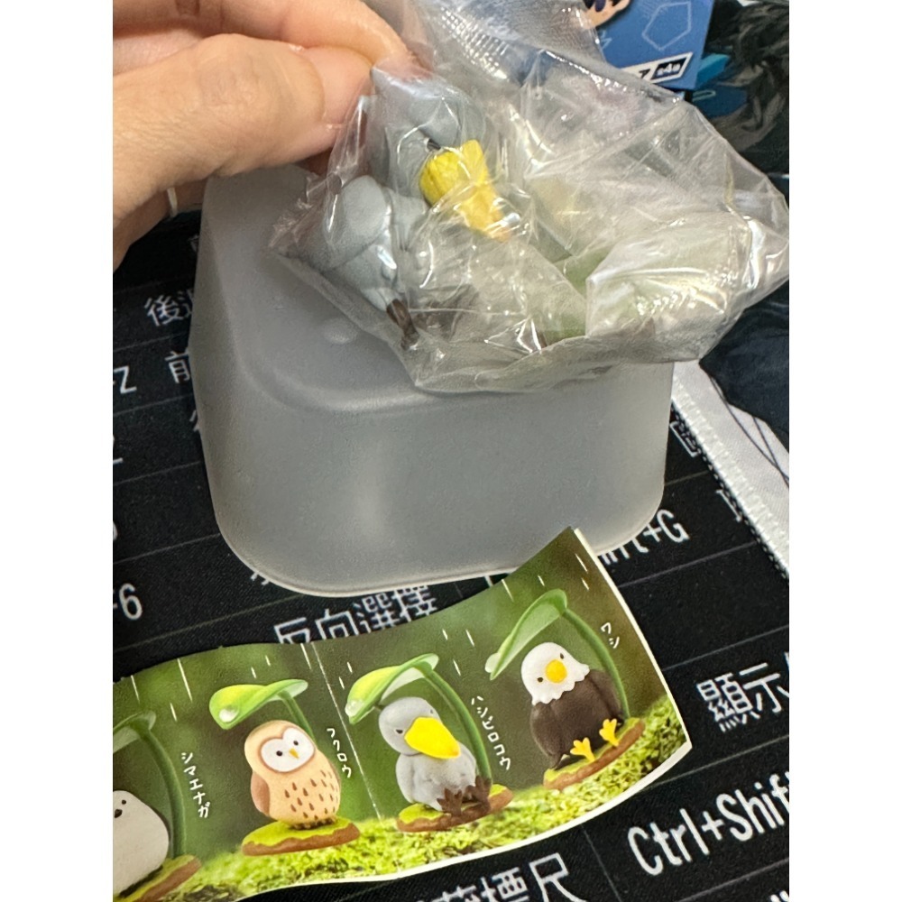 出清(二手&全新)扭蛋 小物 杯緣 款式如選項-規格圖1