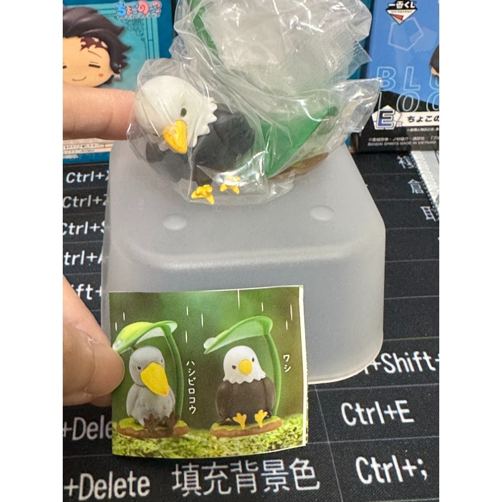 出清(二手&全新)扭蛋 小物 杯緣 款式如選項-規格圖1