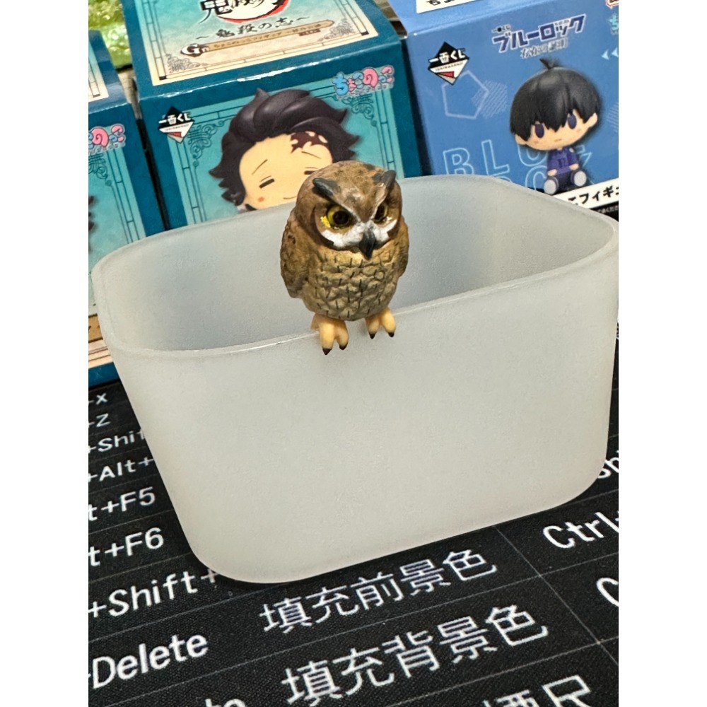 出清(二手&全新)扭蛋 小物 杯緣 款式如選項-規格圖1