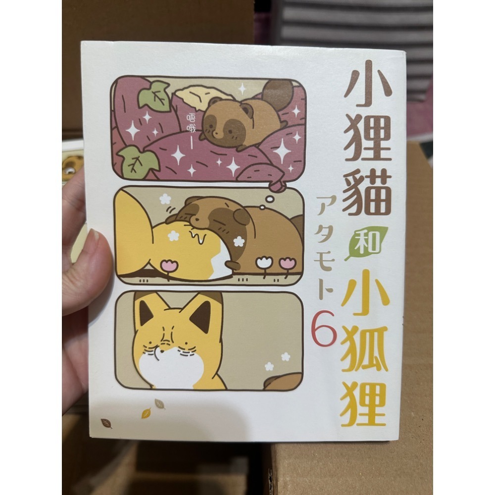 （二手出清）小狸貓和小狐狸-細節圖5