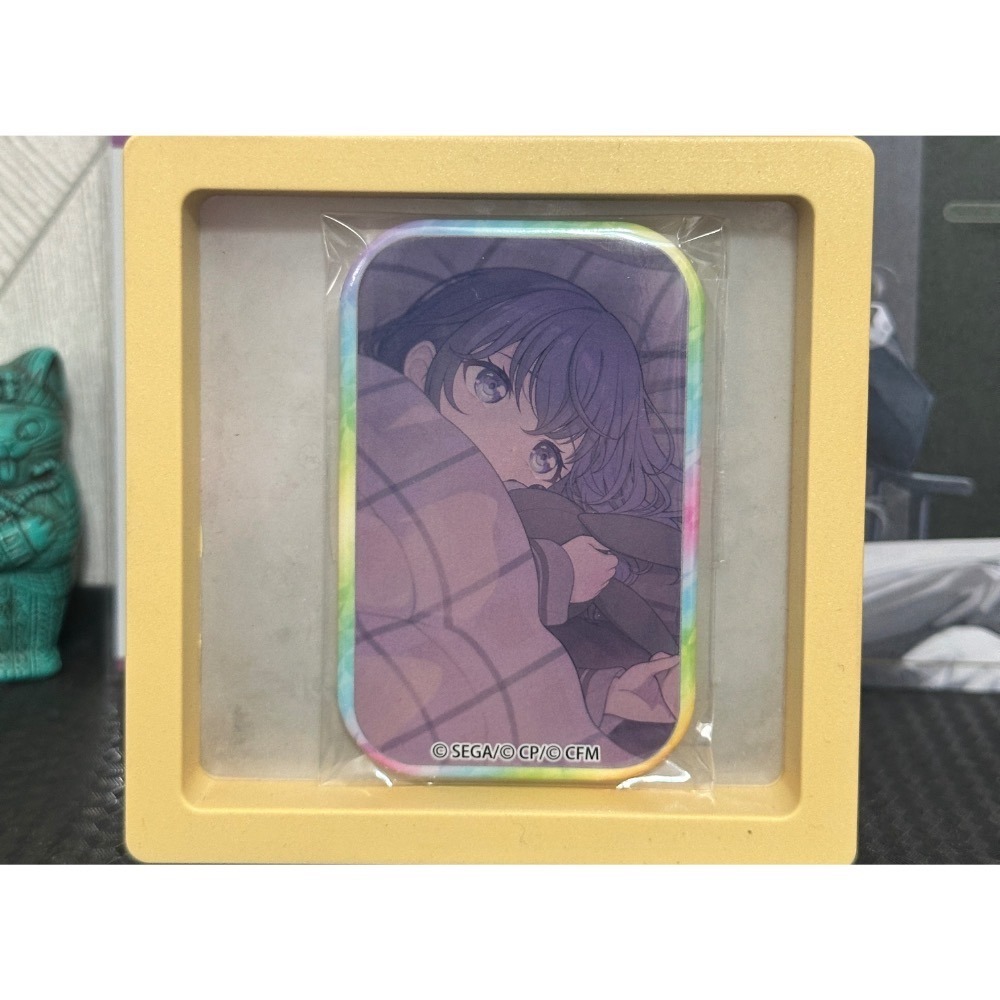 世界計畫 正版 現貨 徽章 方徽-規格圖2