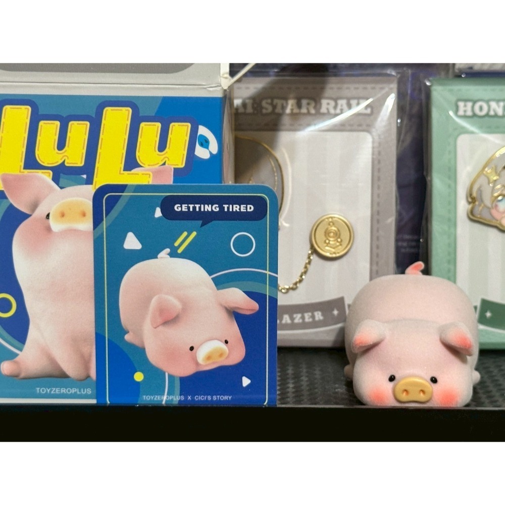(拆擺)正版 罐頭豬LuLu 經典系列2 LuLu豬 確認款 萌萌豬 累累豬-規格圖2