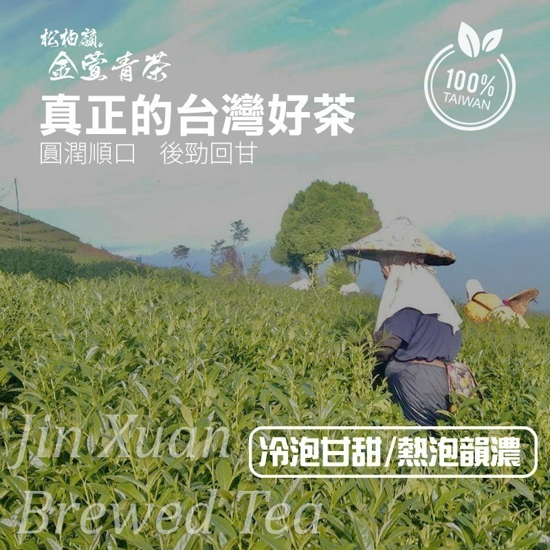 玄羽 松柏嶺金萱青茶 茶包-細節圖2