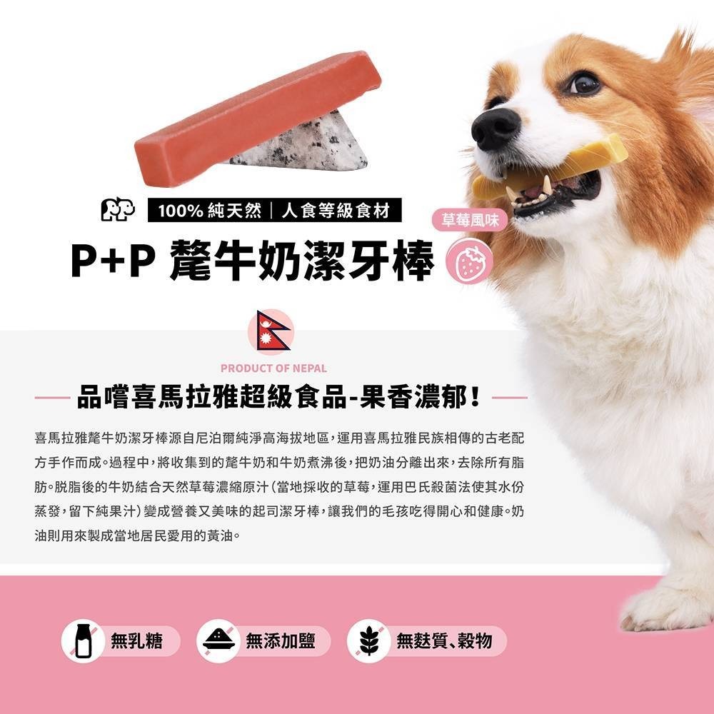 PENNY+PEACE純天然無乳糖氂牛潔牙棒(買五送一)-細節圖2