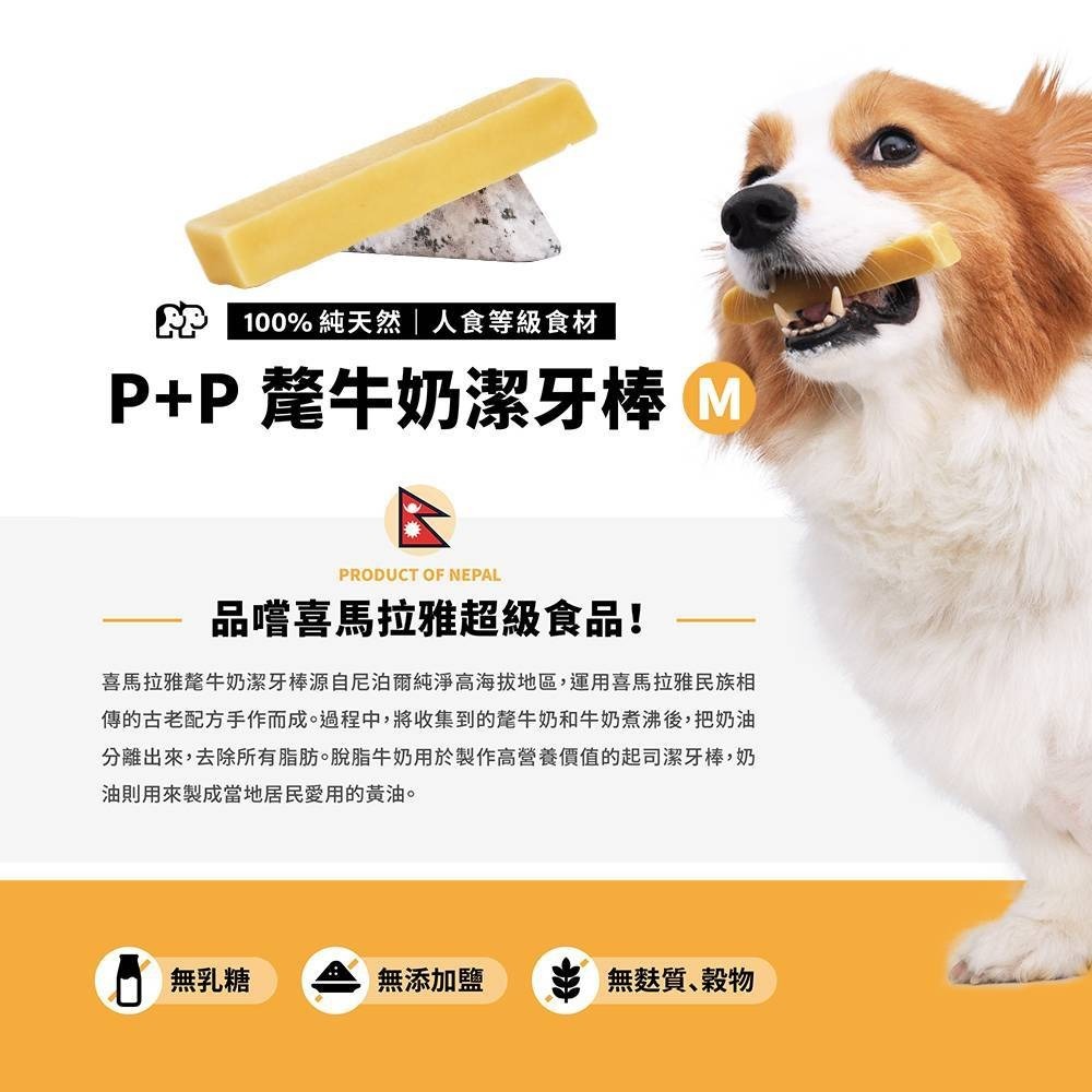 PENNY+PEACE純天然無乳糖氂牛潔牙棒(買五送一)-細節圖3