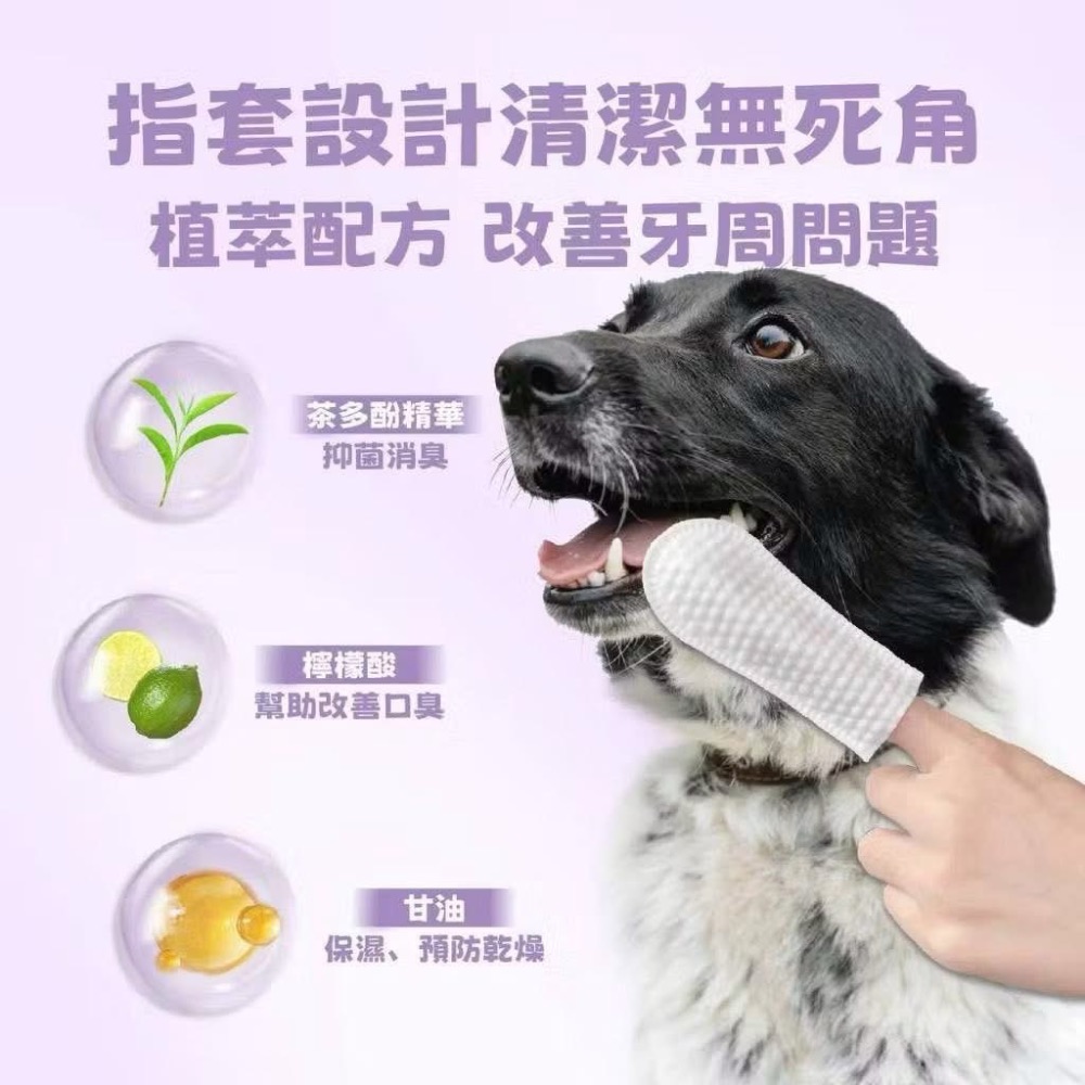奇奇-寵幸寵物清潔系列-細節圖6