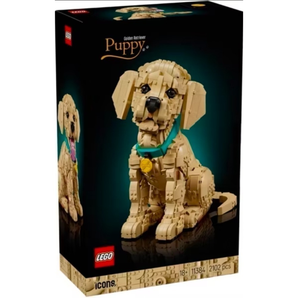 《玩具樂到家》LEGO 11384 小黃金獵犬（ICONS）