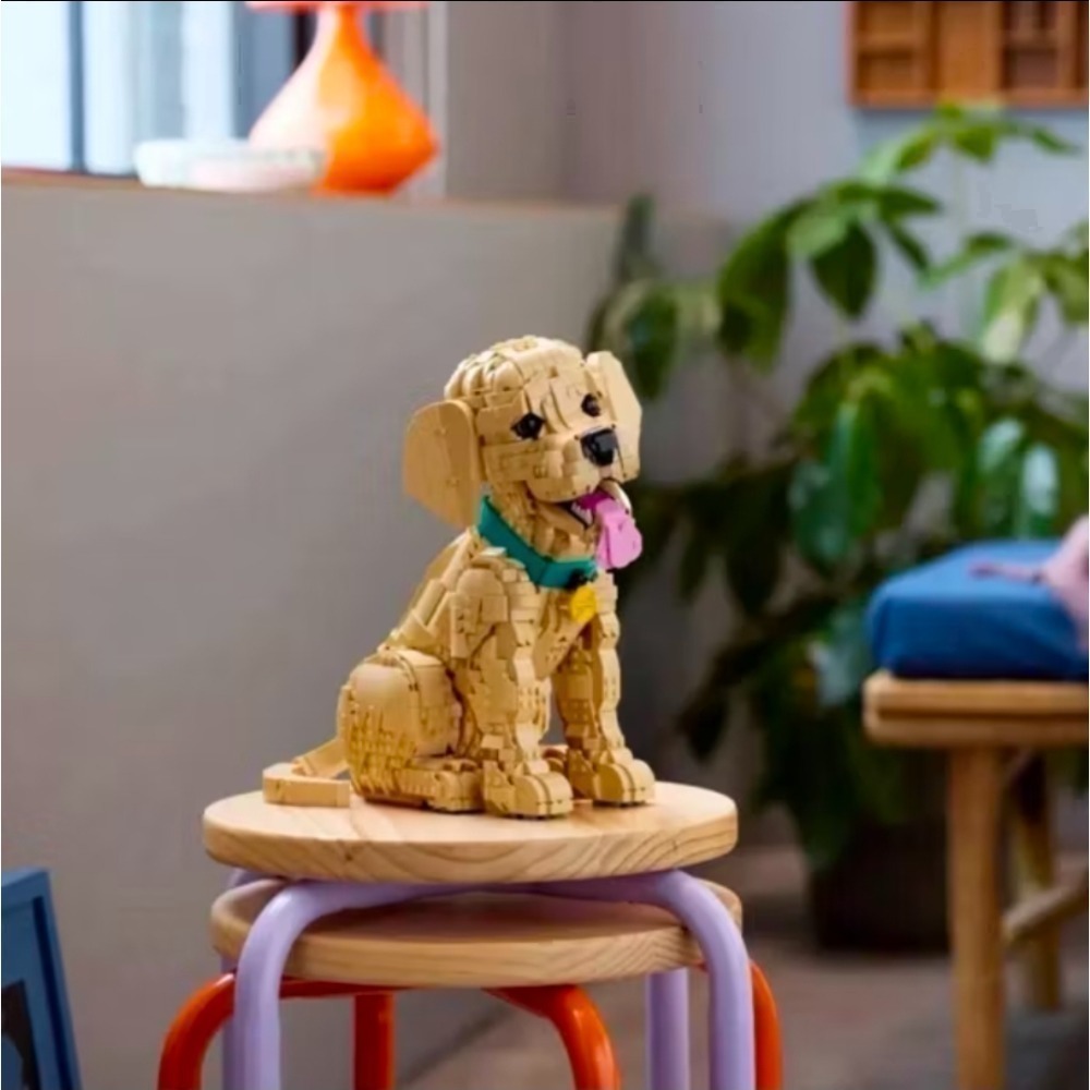 《玩具樂到家》LEGO 11384 小黃金獵犬（ICONS）-細節圖2