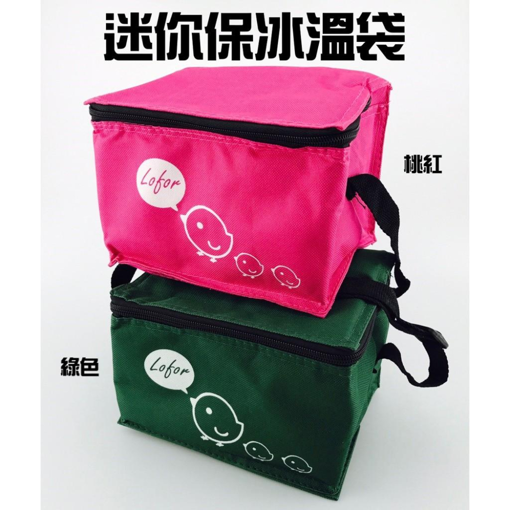 現貨 30L 17L保冰溫提袋 迷你保冰袋 保溫袋 保冷袋 便當袋 行動冰箱 野餐袋 露營袋【CF-05A-53986】-細節圖2