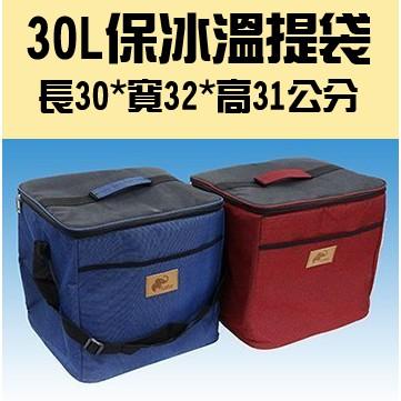 現貨 30L 17L保冰溫提袋 迷你保冰袋 保溫袋 保冷袋 便當袋 行動冰箱 野餐袋 露營袋【CF-05A-53986】-細節圖4