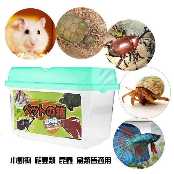 【全盛】臺灣製造 貝特寵物盒 寵物箱 昆蟲箱 飼育箱 水族箱 透明塑膠盒 攜帶式寵物箱 【DJ-04A-62200】-細節圖6