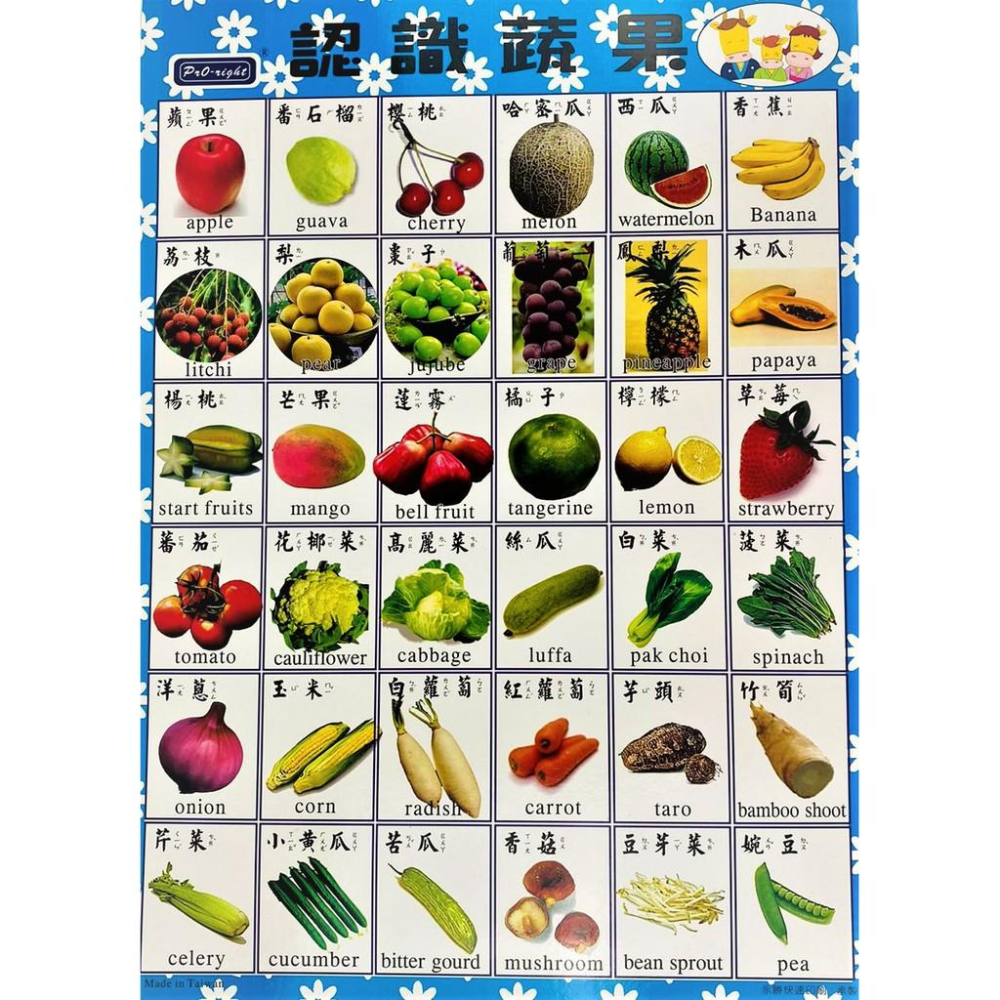 ★全盛★識字圖表 兒童學習表 彩色圖表 認識注音 數字 英文 蔬果 九九乘法 識字表 早教【CF-02B-50102】-細節圖4