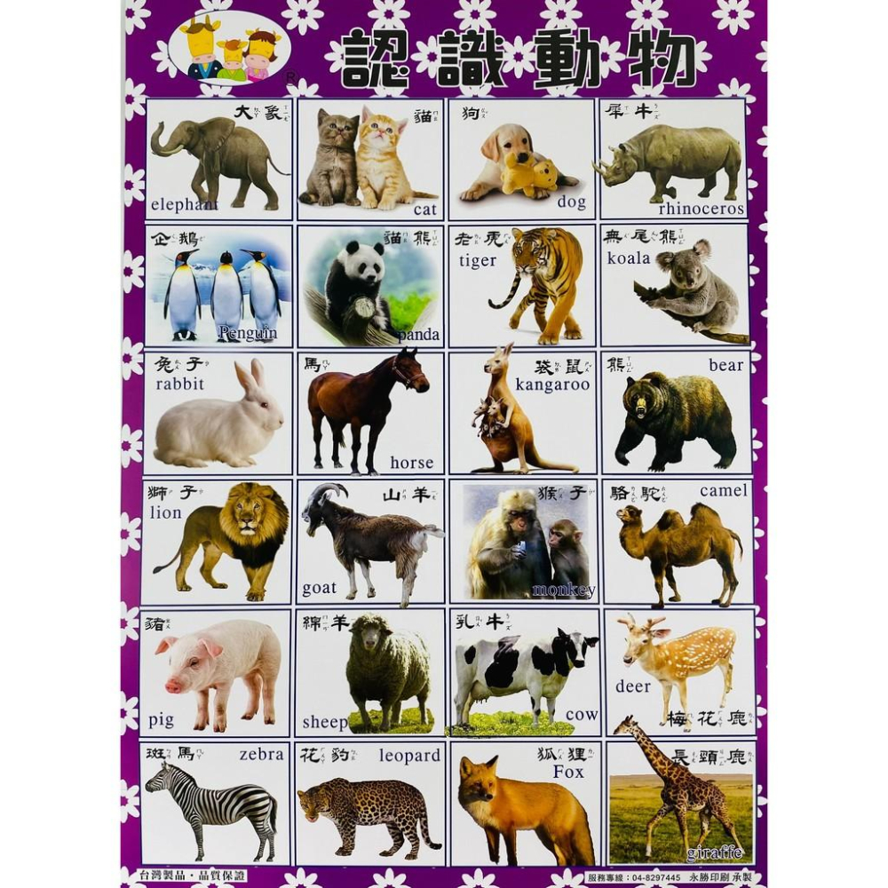 ★全盛★識字圖表 兒童學習表 彩色圖表 認識注音 數字 英文 蔬果 九九乘法 識字表 早教【CF-02B-50102】-細節圖6