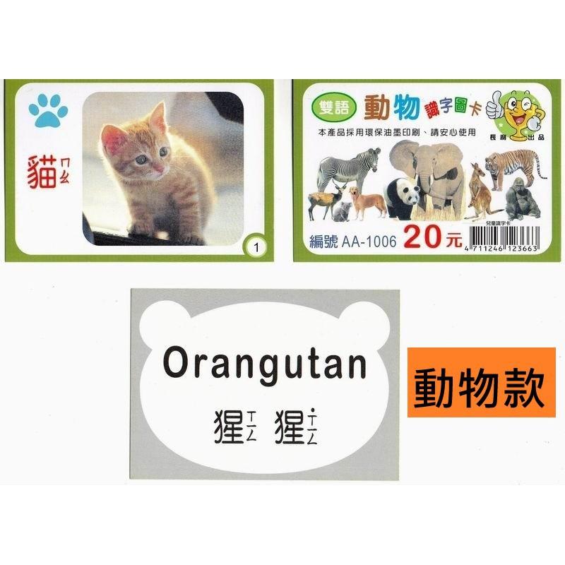 【全盛】雙語兒童識字卡 學習卡 雙語圖卡 彩色字卡 注音 數字 動物 英文 字卡 識字卡【CF-02B-23670】-細節圖7