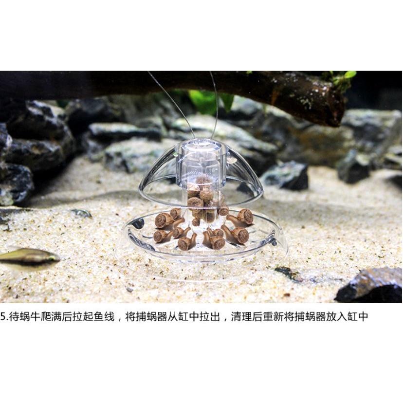 拉拉Lala＇s 草缸除蝸牛器魚缸螺類蝸牛捕捉器誘捕缸內雜螺 趣味捕蝸牛器水族-細節圖4