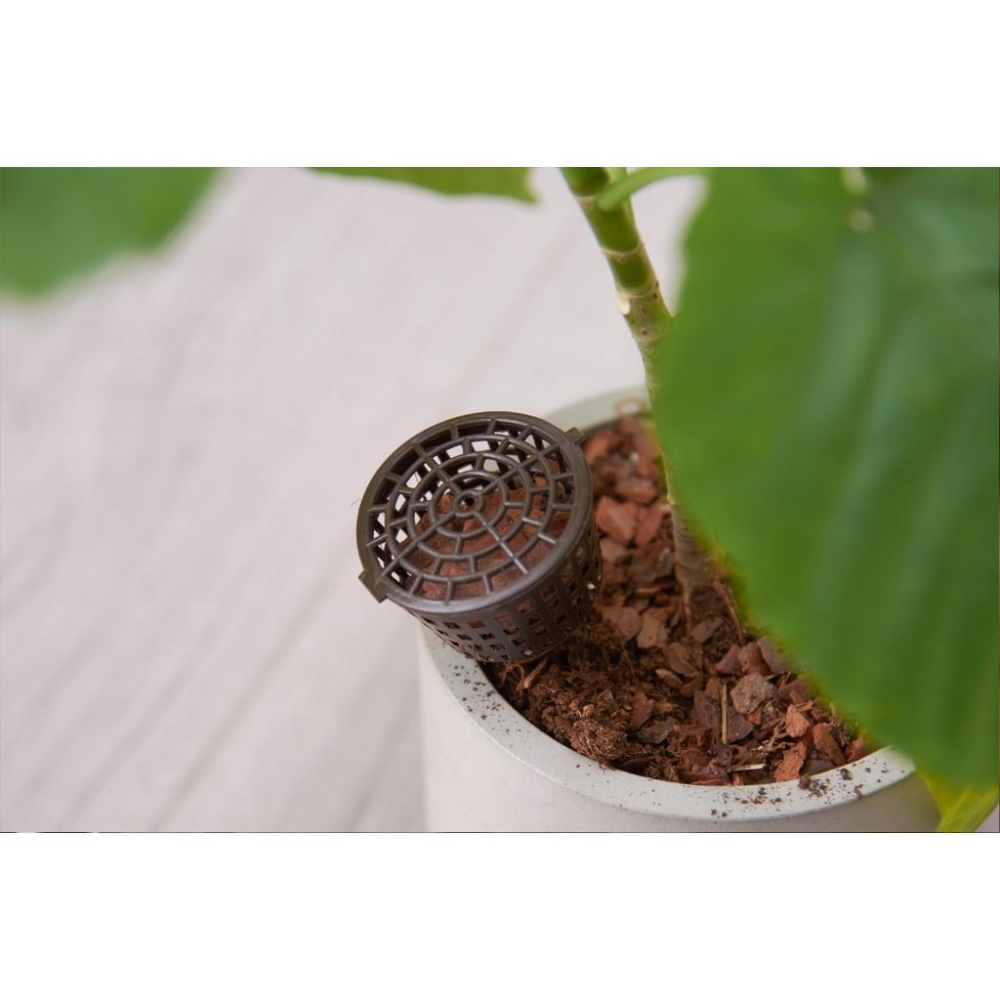 🇹🇼拉拉Lala＇s 帶蓋肥料籃 便攜式根肥盒 水草肥料籃 便攜式施肥筐-細節圖4