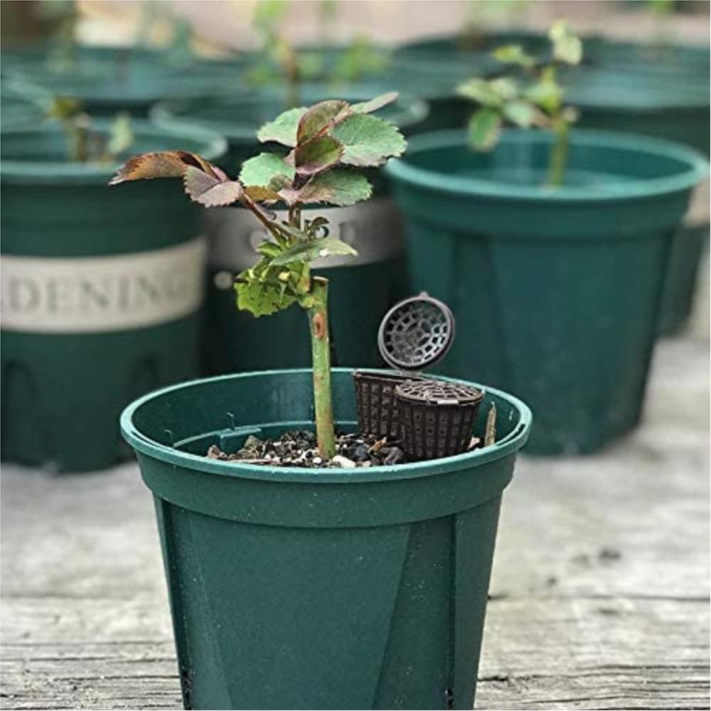 🇹🇼拉拉Lala＇s 帶蓋肥料籃 便攜式根肥盒 水草肥料籃 便攜式施肥筐-細節圖6