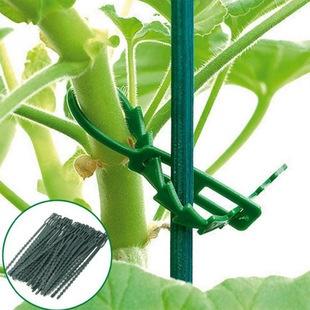 🇹🇼拉拉Lala＇s 50根 多用途綠色園林綁紮帶 植物紮帶 園藝魚骨紮線-細節圖5