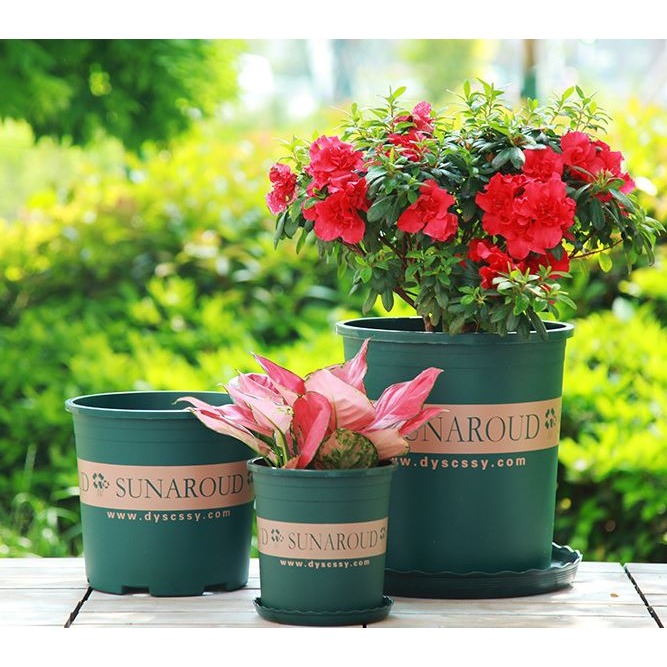 🇹🇼拉拉Lala＇s 加侖盆 創意綠植加厚控根盆 陽台綠蘿盆栽月季樹脂塑料花盆 底盤-細節圖2