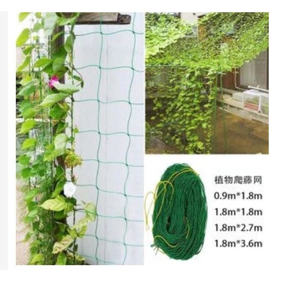 🇹🇼拉拉Lala＇s 園藝植物爬藤網瓜果牽牛花攀援花卉爬藤植物用爬藤繩-細節圖2