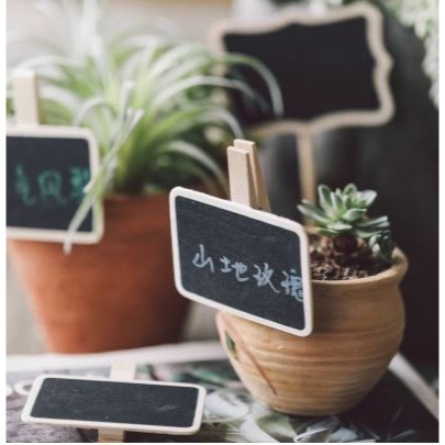 🇹🇼拉拉Lala＇s 小黑板木夾子/多功能標記夾留言夾 韓國創意便簽原木照片夾-細節圖4