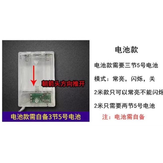 🇹🇼拉拉Lala＇s 30/80LED電池燈 草坪燈 花園燈 聖誕燈A0041{013-3}-細節圖2