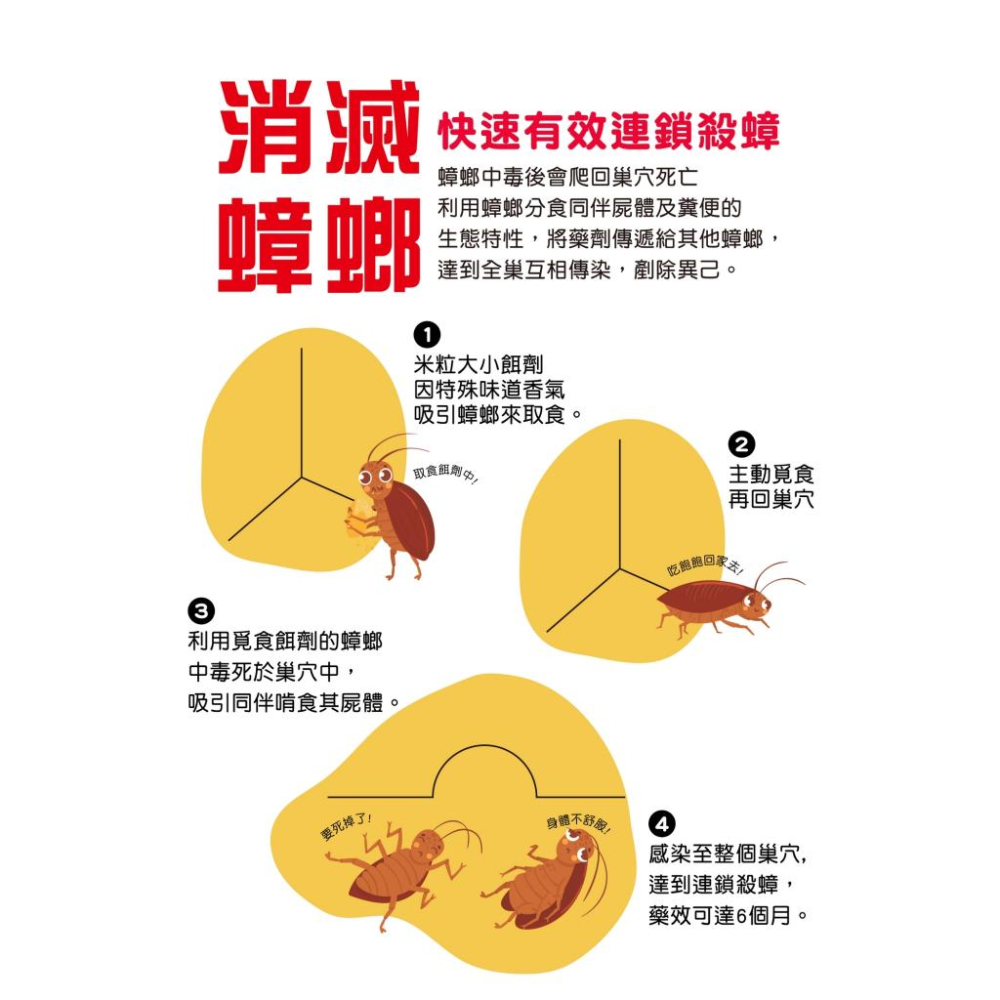 【省錢大賣場】奧除殺蟑凝膠15g-細節圖4