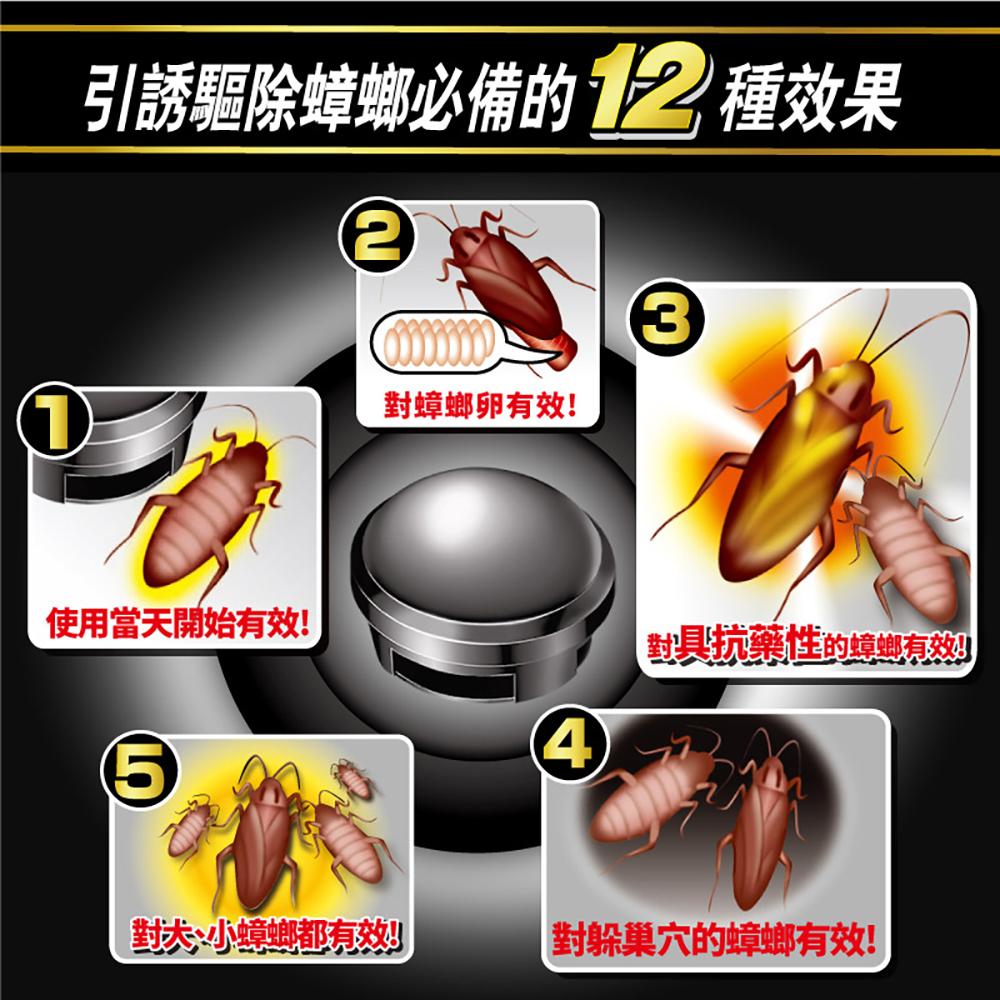 日本!!興家安速 小黑帽蟑螂餌劑12入即期品出清-細節圖3