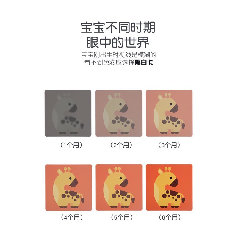 寶寶黑白圖卡 嬰兒視覺訓練卡 嬰兒寶寶早教卡片 新生兒視力圖卡-細節圖5