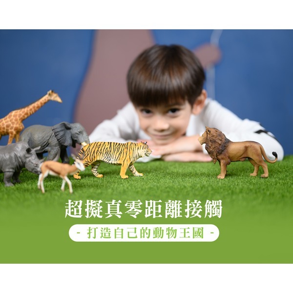 小牛津 collectA 迷你農場動物組(12入)~英國高擬真模型 01110-細節圖5