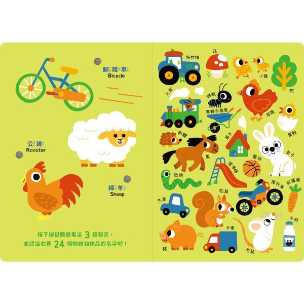 禾流文創 寶寶認知有聲書-認識好多好多東西-細節圖3