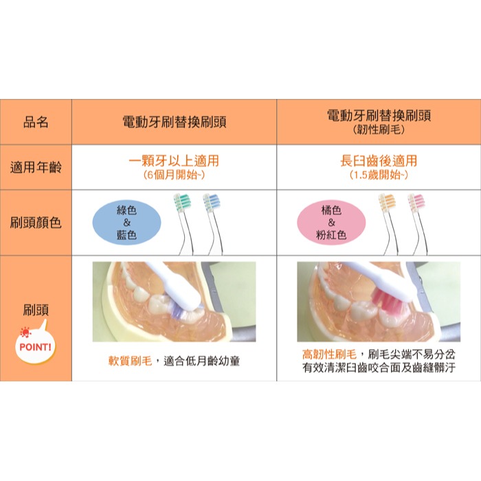Combi 康貝 teteo電動牙刷替換刷頭(韌性刷毛)2入 一歲半適用-細節圖3