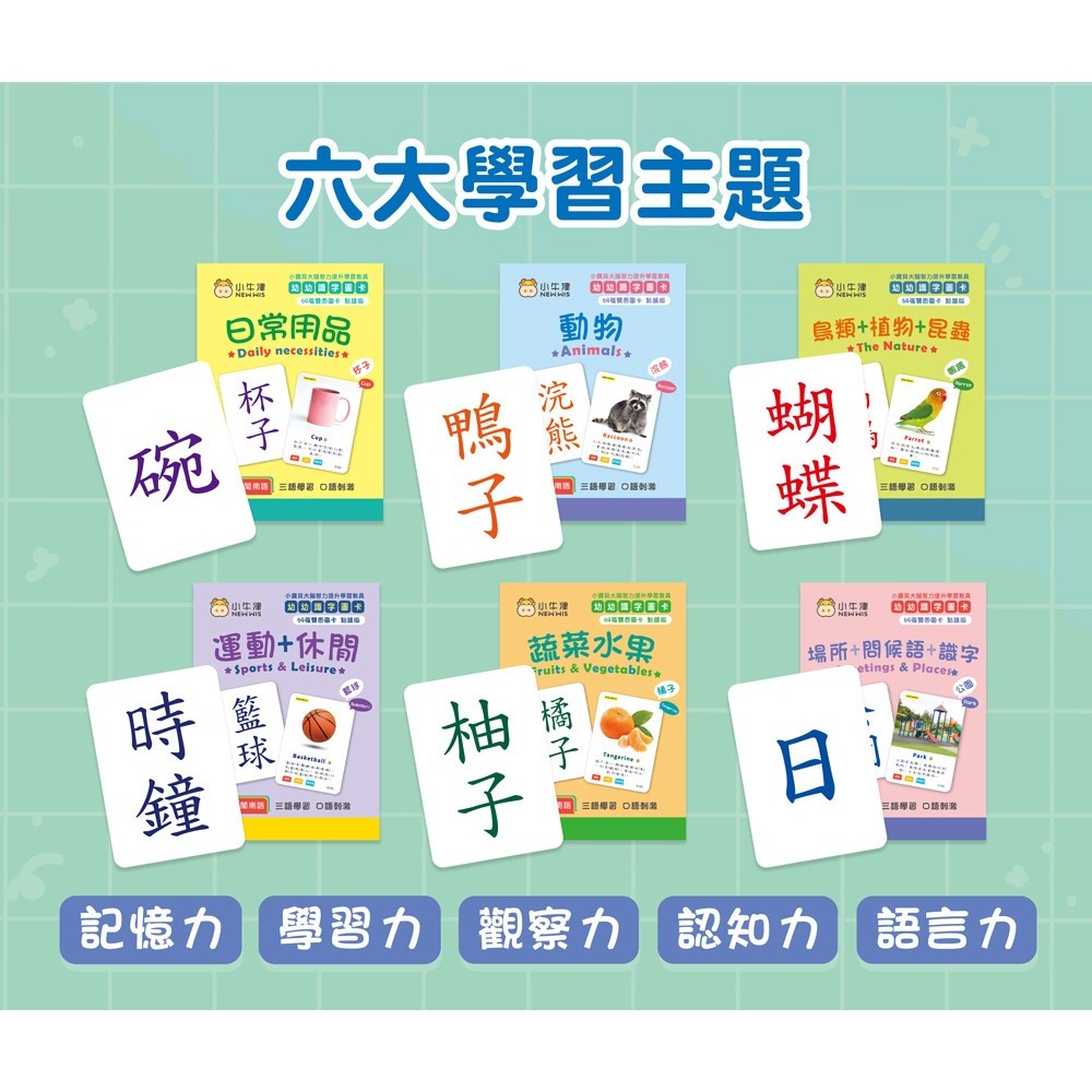 小牛津 幼幼識字學習圖卡 (共384張圖卡/雙面點讀)-細節圖4