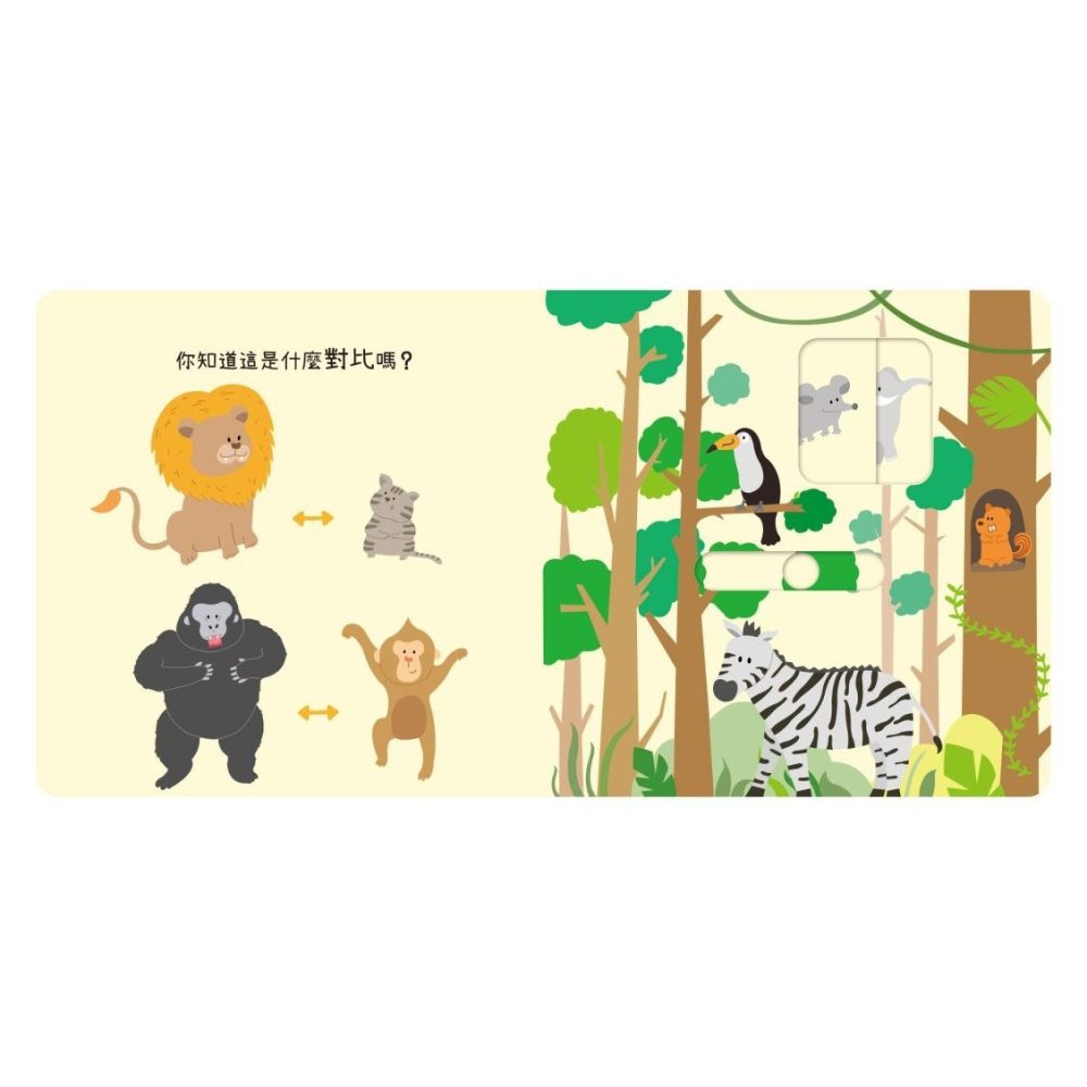 禾流文創 動手滑滑滑-對比 有聲書 學習書 互動書 48211-細節圖2