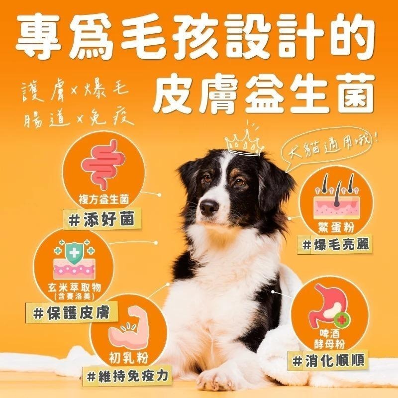 Aether依鈦 寵物益生菌 護膚爆毛(1.5gx30包/盒) 貓狗適用 寵物益生菌 益生菌 護膚 爆毛-細節圖2