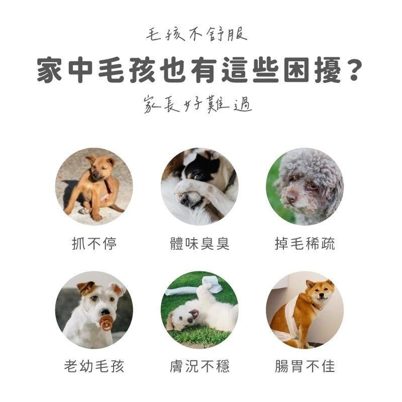 Aether依鈦 寵物益生菌 護膚爆毛(1.5gx30包/盒) 貓狗適用 寵物益生菌 益生菌 護膚 爆毛-細節圖5