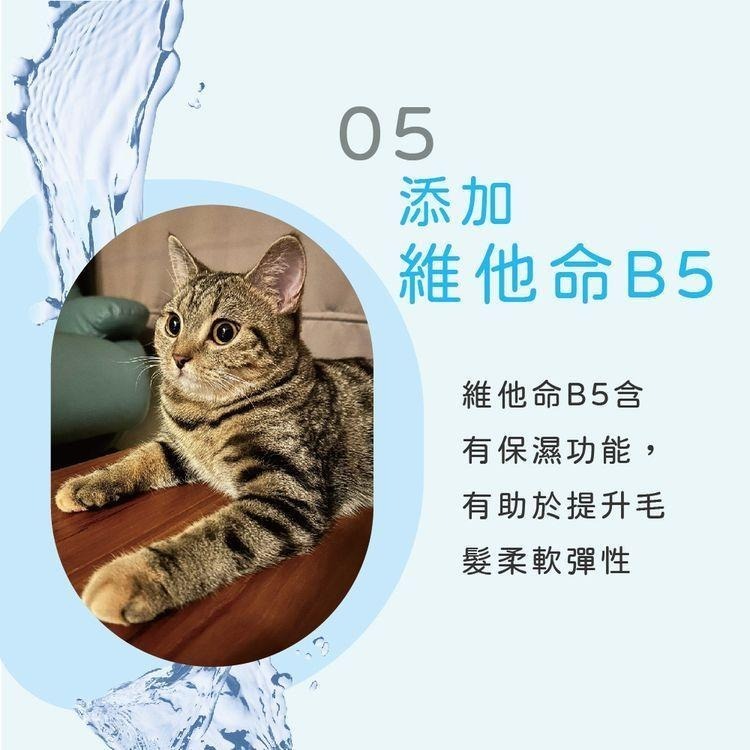 宏瑋KogiPet 貓用 清潔手套 6入/包 純水 不含酒精 添加維他命B5 乾洗手套-細節圖5