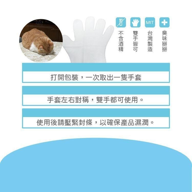 宏瑋KogiPet 貓用 清潔手套 6入/包 純水 不含酒精 添加維他命B5 乾洗手套-細節圖8
