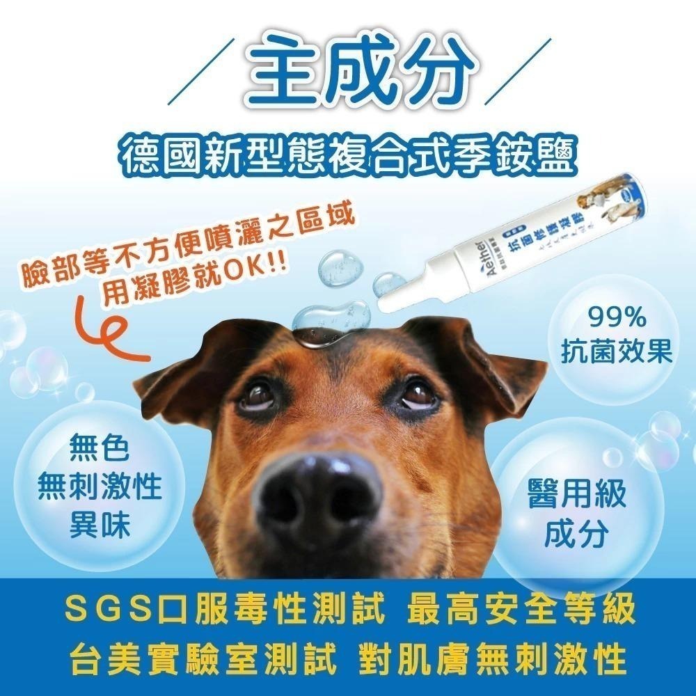 Aether依鈦 寵物抗菌修護凝膠30ml 腳底肉球保濕 黴菌 抗菌 保養皮膚 無藥無類固醇 皮膚不刺激貓咪 犬-細節圖4