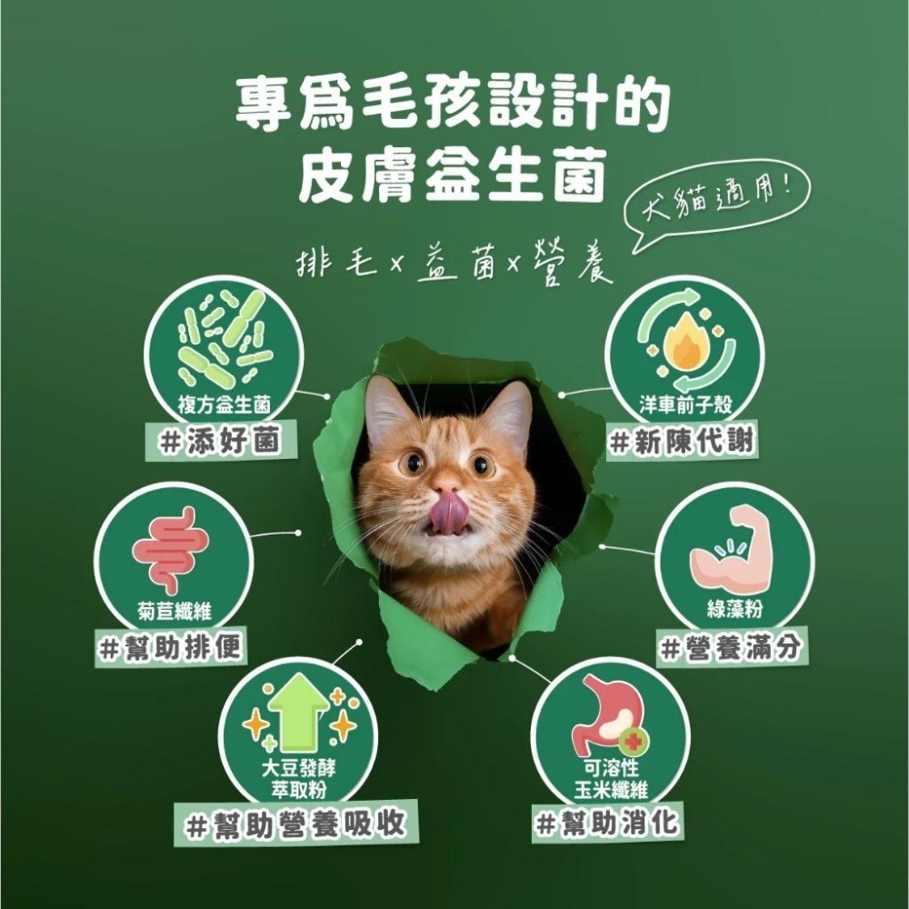 Aether依鈦 依鈦寵物益生菌 消化排毛保健(1.5gx18包/盒) 貓狗適用 益生菌 貓咪益生菌 狗狗益生菌-細節圖3