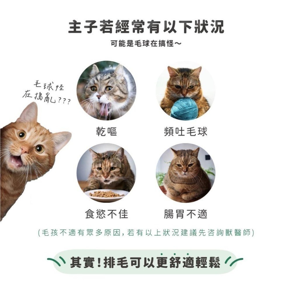 Aether依鈦 依鈦寵物益生菌 消化排毛保健(1.5gx18包/盒) 貓狗適用 益生菌 貓咪益生菌 狗狗益生菌-細節圖2